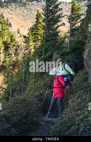 Einem erwachsenen passen ältere Paare wandern entlang schmaler Pfad in Charlies Bunion im Great Smoky Mountains National Park, in der Nähe von Gatlinburg, TN, USA Stockfoto