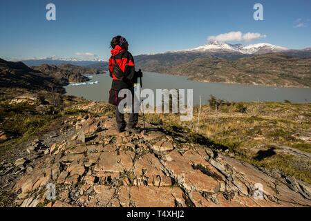 Valle del Lago Grey, trekking W, Parque Nacional Torres del Paine, Sistema Nacional de Áreas Protegidas Silvestres del Estado de Chile Patagonien, República de Chile, América del Sur. Stockfoto