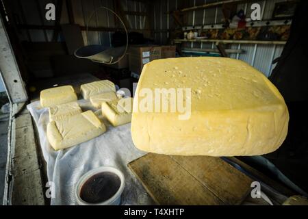 Venta de queso Tipico regional, Mercadillo artesanal de Angelmó, Puerto Montt, Provincia de Llanquihue, Región de Los Lagos. Patagonien, República de Chile, América del Sur. Stockfoto