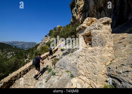 Senda del Castillo de Alaró, ubicado en El Puig d'Alaró, con una altitud de 822 m, Sierra de Tramuntana, Mallorca, Balearen, Spanien, Europa. Stockfoto