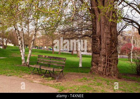 Eine Parkbank in Mellon Park mit einem Feld hinter sich mit Blick auf die Fifth Avenue im Frühling in Pittsburgh, Pennsylvania, USA Stockfoto