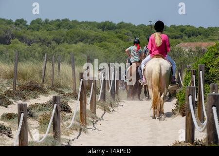 Escursion a Caballo por las Dunas, Son Serra de Marina, Mallorca, Balearen, Spanien. Stockfoto