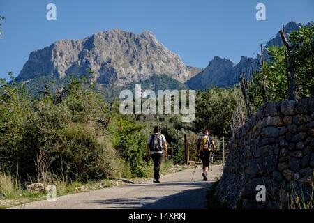 Escursionistas Frente al Penyal des Migdia, 1401 Metros, Municipio de Fornalutx, Mallorca, Balearen, Spanien. Stockfoto