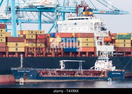 Contenedores de el Puerto Bahía de Algeciras, Andalusien, Spanien. Stockfoto