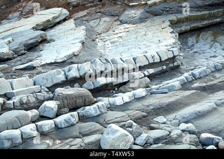 Detail der Jurassic Felsen an der Küste zwischen Blue Anchor und Wachet auf dem Kanal von Bristol in Somerset, England. Stockfoto