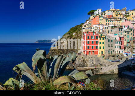 Riomaggiore, einem der fünf mediterranen Dörfer der Cinque Terre, Italien, bekannt für seine bunten Häuser Stockfoto