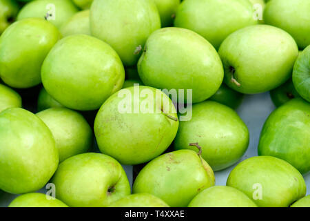 Jujube, Indische chinesische Jujube, Datum, monkey Apple, grüne Kugeln haufen Hintergrund Stockfoto