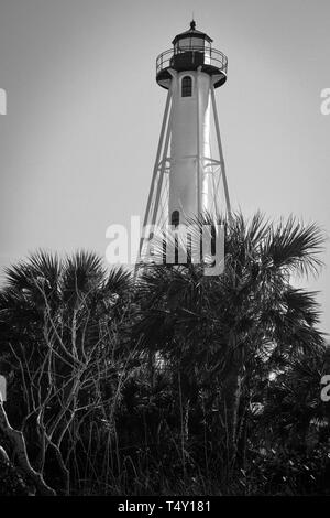 Palmen und Küsten Gräsern umgeben die Viktorianischen Leuchtturm bekannt als das Gasparilla Island Lighthouse auf Boca Grande, FL in Schwarz und Weiß Stockfoto