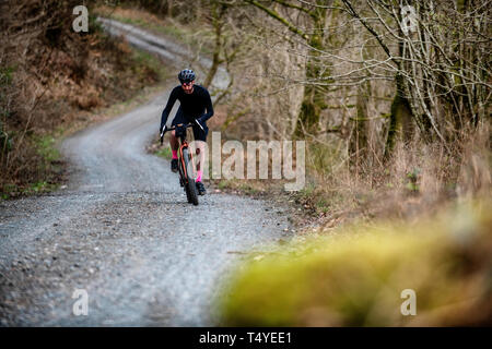 Ein Mann Radwandern entlang einer Schotterpiste an Grizedale Forest im Lake District, England, Kies, Radwandern. Stockfoto