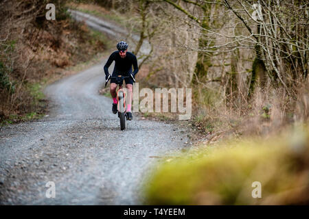 Ein Mann Radwandern entlang einer Schotterpiste an Grizedale Forest im Lake District, England, Kies, Radwandern. Stockfoto