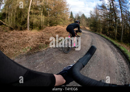 Ein Mann Radwandern entlang einer Schotterpiste an Grizedale Forest im Lake District, England, Kies, Radwandern. Stockfoto