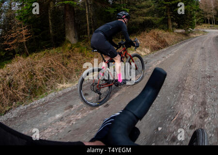 Ein Mann Radwandern entlang einer Schotterpiste an Grizedale Forest im Lake District, England, Kies, Radwandern. Stockfoto