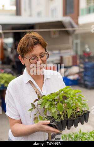 Mittleres Alter Frau mit kleinen Plastiktöpfe mit Basilikum in den Händen. Stockfoto