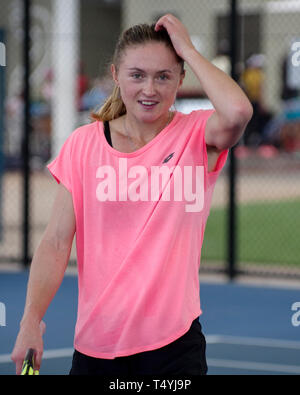 Aliaksandra Sasnovich in Ausbildung Fed Cup Halbfinale April 2019 QTC Showcourt Brisbane Australien Stockfoto