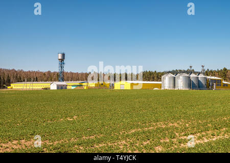 Agro-Anlage für die Bearbeitung und Silos für die Trocknung Reinigung und Lagerung von landwirtschaftlichen Produkten, Mehl, Getreide und Getreide. geflügelfarm Stockfoto