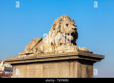 Lion auf der Széchenyi Kettenbrücke in Budapest Stockfoto