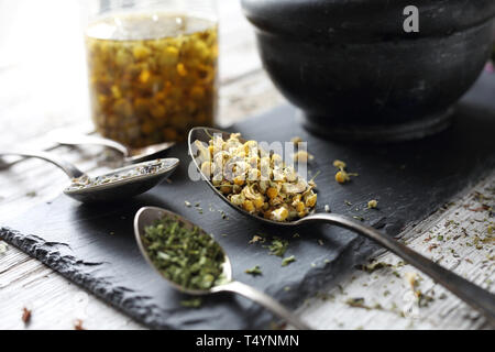 Kräutermedizin Kamille, Lavendel, Schachtelhalm, Brennnessel, Kräuter in der traditionellen Medizin, home Medizin cabinet Stockfoto