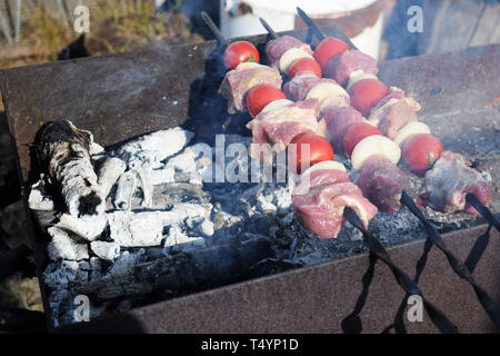 Frisches Schweinefleisch mit Gemüse gegrillt. Kochen in der Natur. Saftige Shish Kebab aus Schweinefleisch, Tomaten, gebraten auf ein Feuer im Freien. Stockfoto