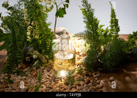 Natürliche organische Botanik und wissenschaftlichen Glaswaren, Alternative kraut Medizin, Natürliche Hautpflege Schönheit Produkte, Forschung und Entwicklung. Stockfoto