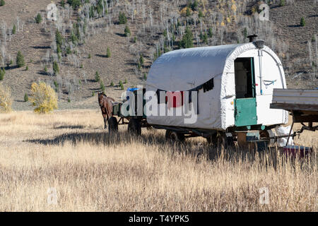 Schafhirte Wagen im hohen Land von Idaho Stockfoto