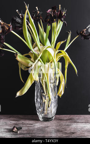 Verblasste rote Tulpen in Glas Blumenvase auf rustikalen Holztisch gegen dunkle Wand Stockfoto