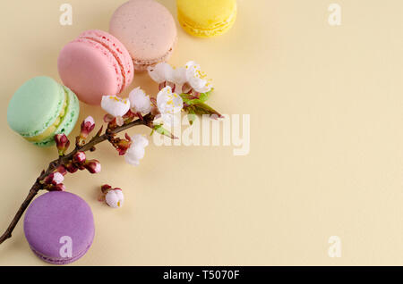 Französische bunte Macarons oder Makronen mit blühenden Aprikosenbaum Blumen auf Pastell beige Hintergrund. Kopieren Sie Platz. Grußkarte und Feder Konzept. Keine Stockfoto