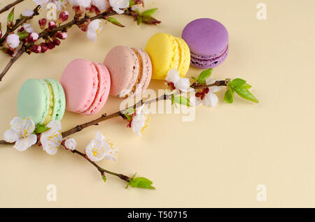 Französische bunte Macarons oder Makronen mit blühenden Aprikosenbaum Blumen auf Pastell beige Hintergrund. Kopieren Sie Platz. Grußkarte und Feder Konzept. Keine Stockfoto