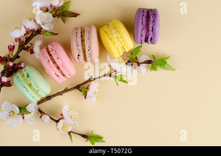 Französische bunte Macarons oder Makronen mit blühenden Aprikosenbaum Blumen auf Pastell beige Hintergrund. Kopieren Sie Platz. Grußkarte und Feder Konzept. Keine Stockfoto