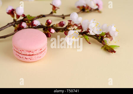 Französische bunte Macarons oder Makronen mit blühenden Aprikosenbaum Blumen auf Pastell beige Hintergrund. Kopieren Sie Platz. Grußkarte und Feder Konzept. Keine Stockfoto