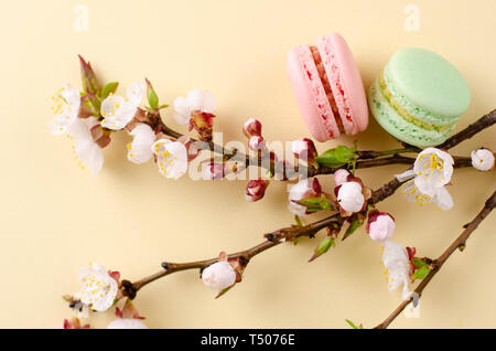 Französische bunte Macarons oder Makronen mit blühenden Aprikosenbaum Blumen auf Pastell beige Hintergrund. Kopieren Sie Platz. Grußkarte und Feder Konzept. Keine Stockfoto