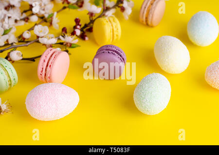 Mehrfarbige dekorative Ostereier und süßen Macarons oder Makronen mit blühenden Aprikosen Blumen auf Gelb dekoriert. Kopieren Sie Platz. Gruß Stockfoto