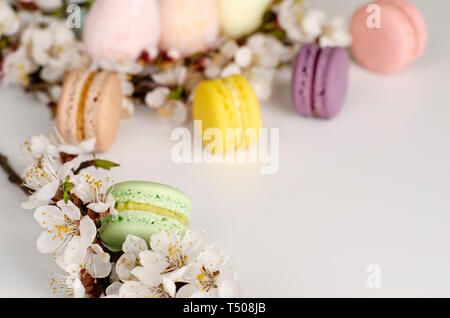 Französische bunte Macarons oder Makronen mit blühenden Aprikosenbaum Blumen auf hellem Hintergrund. Kopieren Sie Platz. Grußkarte und Feder Konzept. Keine Diät da Stockfoto
