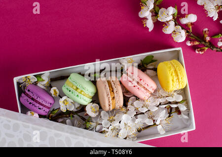 Frischen makronen in einer Geschenkbox mit Blumen von Aprikose Baum auf Fuchsia oder dunkel rosa Hintergrund. Köstliches Geschenk zum Muttertag. Grußkarte Konzept. Stockfoto