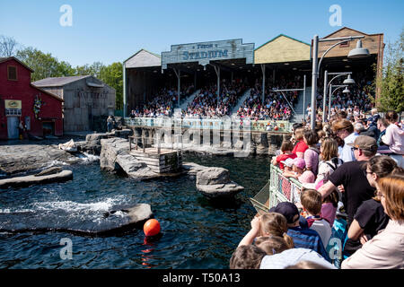 Hannover, Deutschland. 19 Apr, 2019. Besucher Masse in Yukon Bay während der Dichtung zeigen auf der Hannover Zoo für einen Platz mit einem guten Blick auf den Pool. Credit: Peter Steffen/dpa/Alamy leben Nachrichten Stockfoto