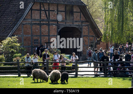 Hannover, Deutschland. 19 Apr, 2019. Besucher schlendern Sie durch den Zoo in Hannover entlang der Tiergehege. Credit: Peter Steffen/dpa/Alamy leben Nachrichten Stockfoto