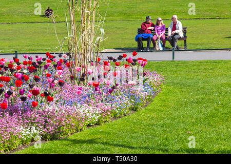 Bournemouth, Dorset, Großbritannien. April 2019. UK Wetter: Heiß und sonnig in Bournemouth - Menschen genießen die Sonne und bunte Blumen in Bournemouth Lower Gardens. Leute, die auf Bank sitzen. Rosa weiß und blau vergessen mich nicht, Tulpen und Narzissen. Quelle: Carolyn Jenkins/Alamy Live News Stockfoto