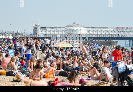 Brighton, UK. 19 Apr, 2019. Brighton Beach ist verpackt wie Karfreitag Besucher die sizzling sonniges Wetter genießen, da die Temperaturen Mitte der 20er Jahre entlang der Südküste: Simon Dack/Alamy Leben Nachrichten erreichen Stockfoto