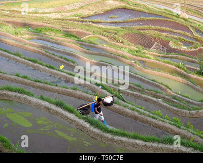 Congjiang, Congjiang, China. 19 Apr, 2019. Congjiang, CHINA - Bauern sind besetzt mit Feder Bewirtschaften an den terrassierten Feldern in Congjiang, Provinz Guizhou. Credit: SIPA Asien/ZUMA Draht/Alamy leben Nachrichten Stockfoto