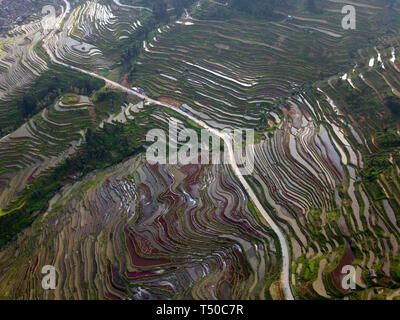 Congjiang, Congjiang, China. 19 Apr, 2019. Congjiang, CHINA - Bauern sind besetzt mit Feder Bewirtschaften an den terrassierten Feldern in Congjiang, Provinz Guizhou. Credit: SIPA Asien/ZUMA Draht/Alamy leben Nachrichten Stockfoto