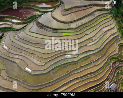 Congjiang, Congjiang, China. 19 Apr, 2019. Congjiang, CHINA - Bauern sind besetzt mit Feder Bewirtschaften an den terrassierten Feldern in Congjiang, Provinz Guizhou. Credit: SIPA Asien/ZUMA Draht/Alamy leben Nachrichten Stockfoto