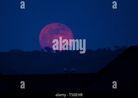 Aberystwyth Wales UK, Karfreitag, 19. April 2019. UK Wetter: Eine spektakuläre Vollmond, bekannt als der 'Pink Moon' bis zu seinem Namen leben, als es über den Hügel in der Nähe von Aberystwyth am Karfreitag Abend steigt nach einem Tag der brennend heißen Sonne Foto: Keith Morris/Alamy leben Nachrichten Stockfoto