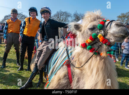 Hungerford, West Berkshire, Großbritannien. 19. Apr 2019. Melbourne 10 Racing Camel Racing Gewinner AP McCoy (Sir Anthony Peter McCoy OBE, allgemein bekannt als AP McCoy) ehemaliger Meister Pferderennen jockey Center 1 ST berühmten Pferderennen Trainer Jamie Osborne Links 2 ND und Nico de Boinville racing Jockey, in nationalen Hunt racing konkurriert. Stockfoto