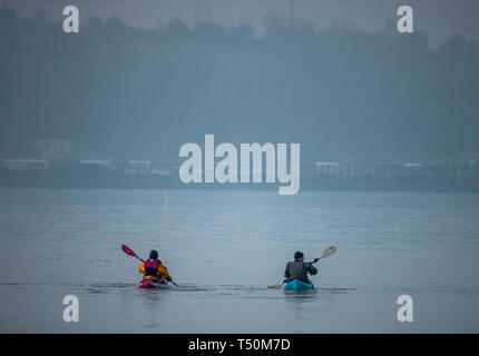 Cobh, Cork, Irland. 20. April 2019. Zwei Kanus aus an einem nebligen Morgen von Cobh, für ein Paddel in den Fluss in Cork, Irland. Quelle: David Creedon/Alamy leben Nachrichten Stockfoto