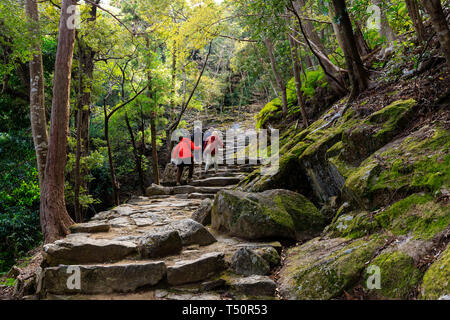 Die Menschen wandern in der kumano Kodo Pilgerweg zu den Kamikura Shinto Schrein, Shingu, Japan Stockfoto