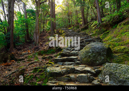 Combblestone Pfad in den Wald, die zu den Kamikura Shinto Tempel, Kumano Kodo Wallfahrt Track, Shingu, Japan Stockfoto