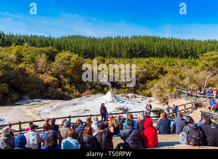 ROTORUA, NEUSEELAND - Oktober 10, 2018: Menschenmassen sitzen täglich Ausbruch von Lady Knox Geysir in Wai-o-Tapu zu beobachten Stockfoto