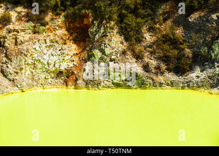 Wasser Teich, Gelb von Schwefel in Wai-O-Tapu Geothermal Wonderland, Rotorua, Neuseeland. Kopieren Sie Platz für Text Stockfoto