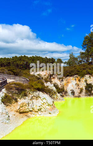 Wasser Teich, Gelb von Schwefel in Wai-O-Tapu Geothermal Wonderland, Rotorua, Neuseeland. Vertikale. Kopieren Sie Platz für Text Stockfoto