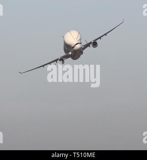 Beluga und Beluga XL vom Hawarden Airport credit Ian Fairbrother/Alamy Stockfotos Stockfoto