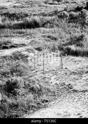 Gulf Shores AL USA - Gulf Shores AL USA - 05/04/2018 - Sanddünen Zaun in Gulf Shores AL in B&W Stockfoto